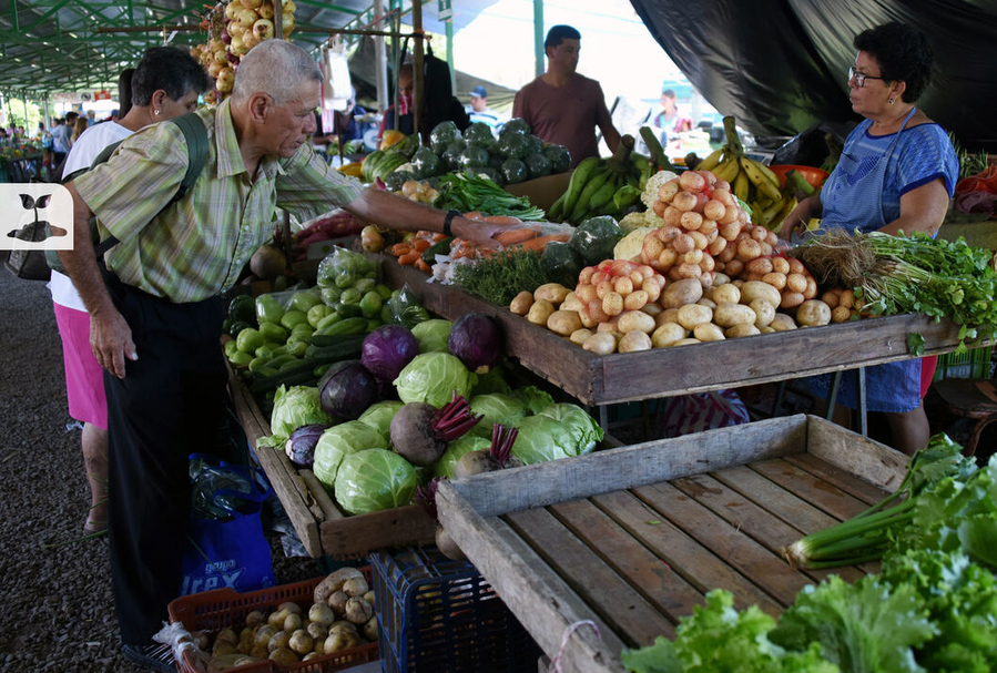 Qui N Vela Porque El Precio De Los Productos Agr Colas En Los Mercados