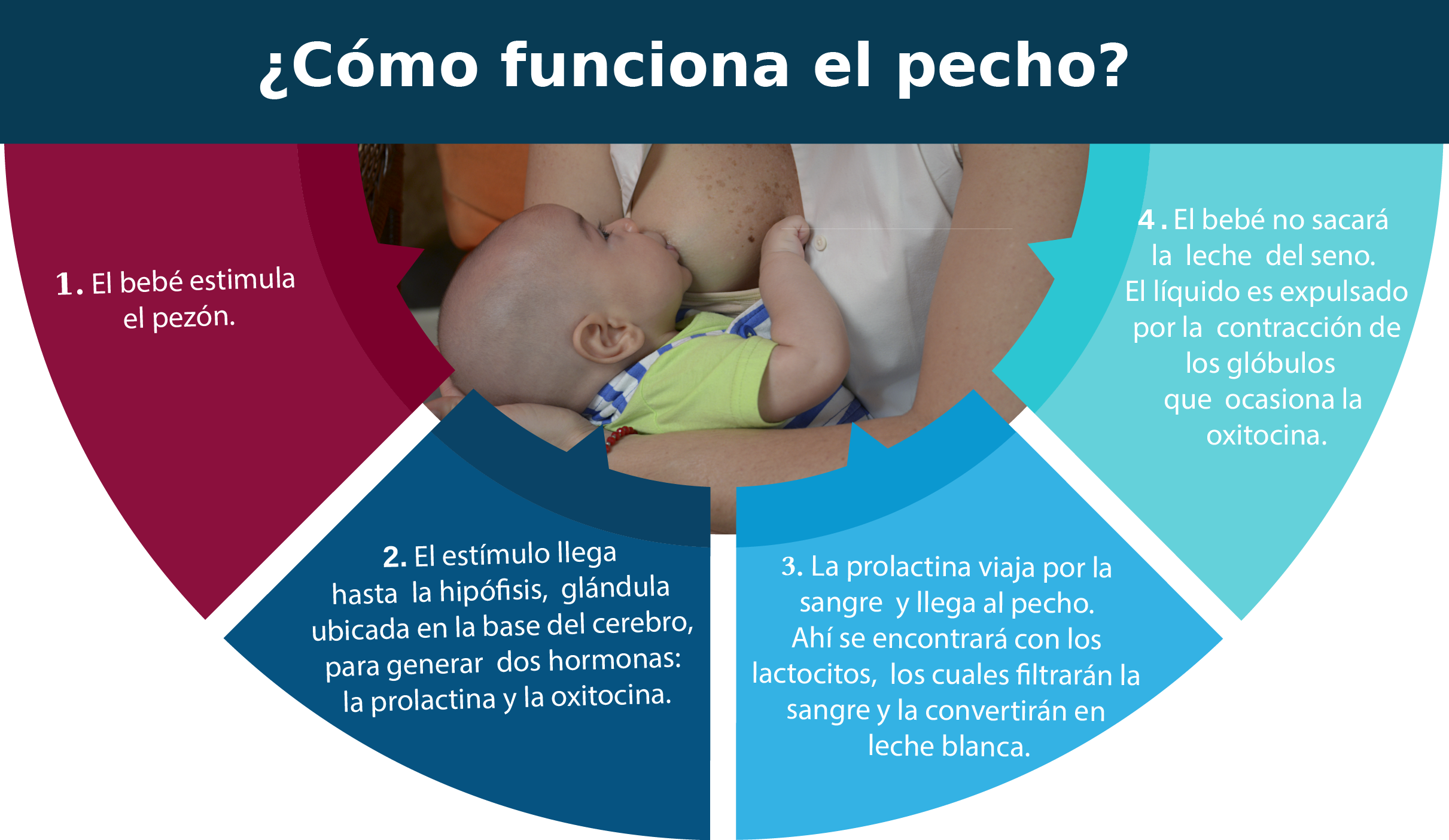 Conozca los beneficios de la lactancia materna y cómo debe hacerlo - Salud  
