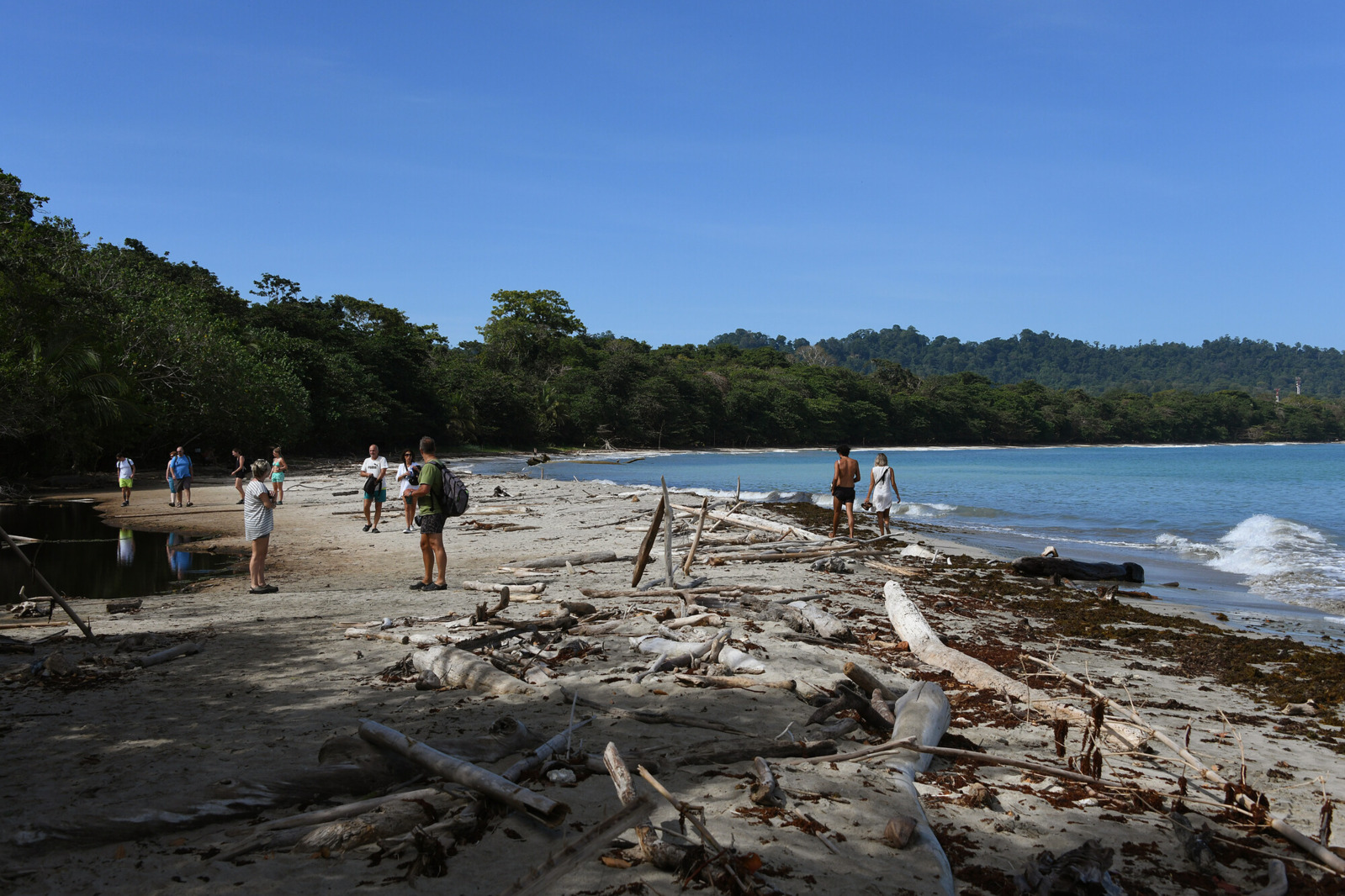 Erosión en playa Cahuita con troncos de árbol