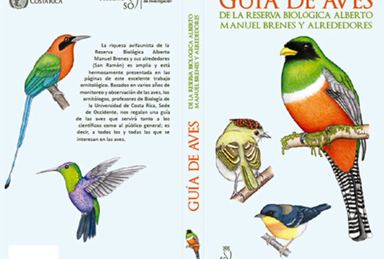 Sede Occidente Presento Guia De Aves De Su Reserva Biologica