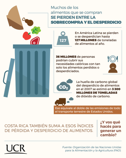 Desde Su Casa Usted Puede Evitar El Desperdicio De Alimentos, Ahorrar Y ...