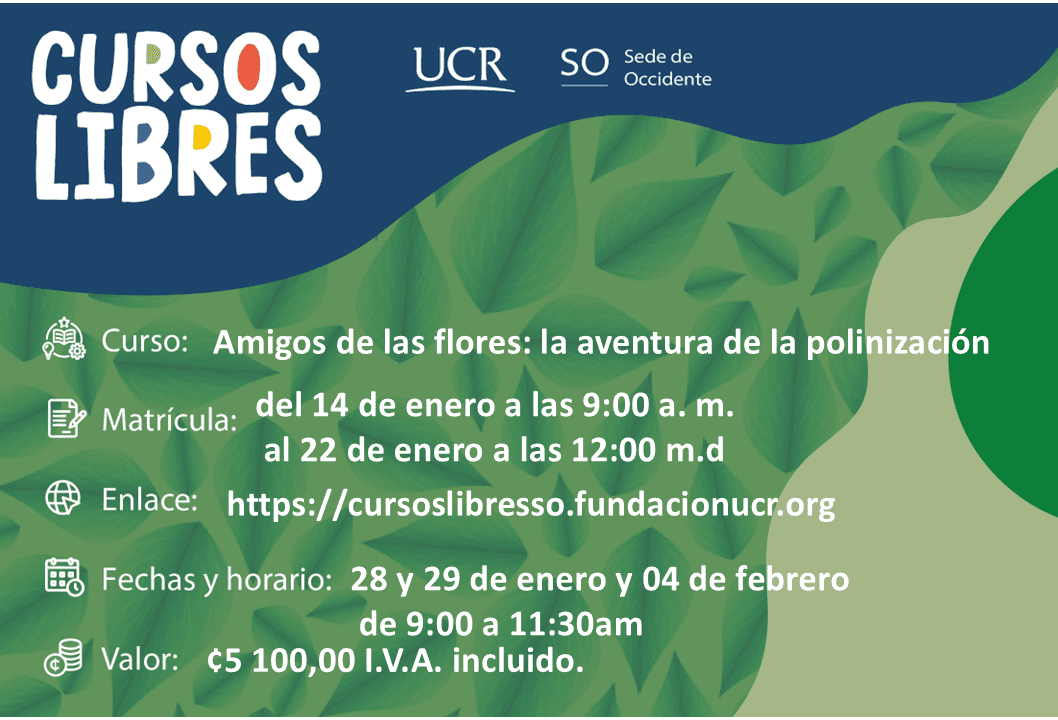  Fecha del curso: 28 y 29 de enero y 4 de febrero, de 9:00 a 11:30 a. m. 