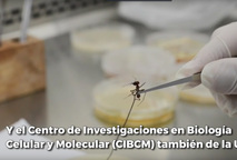 Selvamicina es un nuevo antibiótico con propiedades contra los hongos, descubierto en Costa Rica …